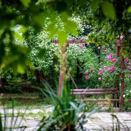 Green Apartment - Top Location, Near City Center! ソフィア エクステリア 写真