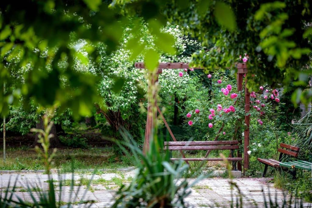Green Apartment - Top Location, Near City Center! ソフィア エクステリア 写真